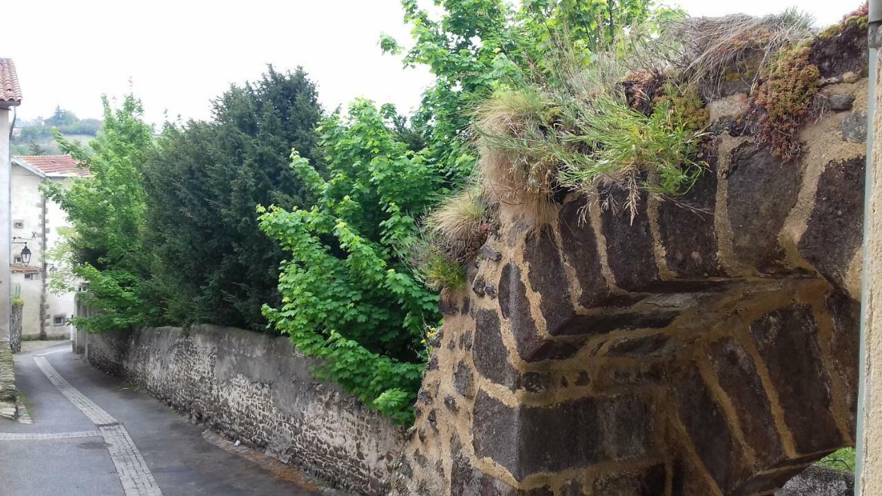 Apartamento Le Petit Dyke Le Puy-en-Velay Exterior foto
